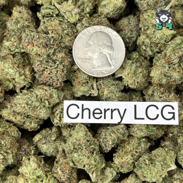 Cherry Lemon Cherry Gelato - K54 - Image 3