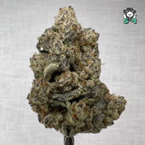Cap Junky - 59F2