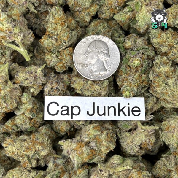 Cap Junky - 59F2 - Image 3