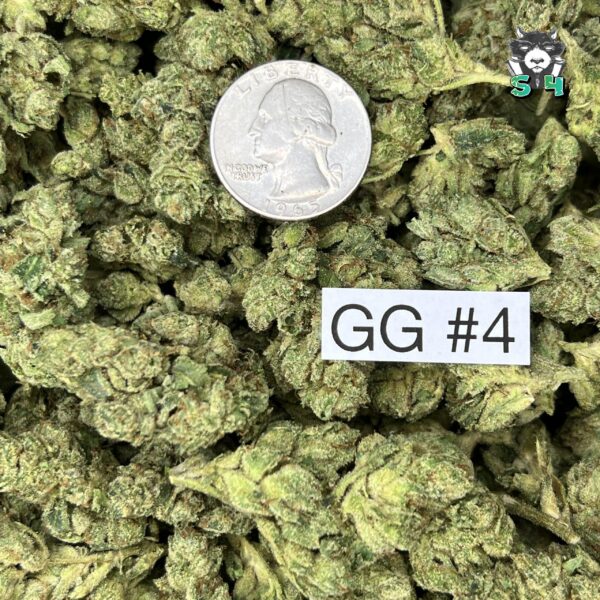 GG #4 - 87M15 - Image 3