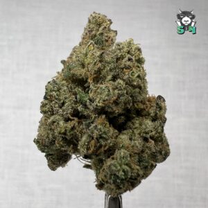 Sour Runtz - 25B66