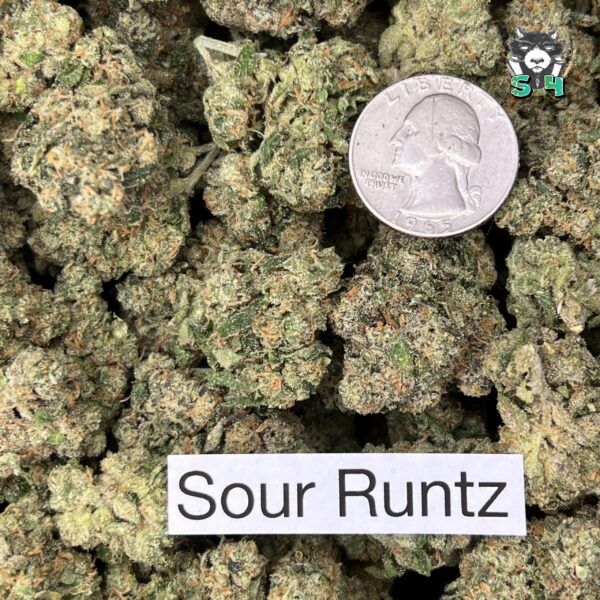Sour Runtz - 25B66 - Image 3