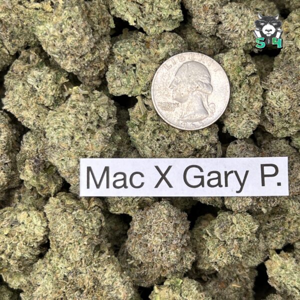 Mac And Gary Payton - 50W1 - Image 3