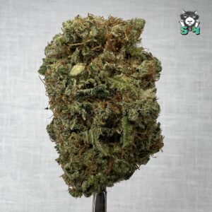 Northern Haze - 91J12