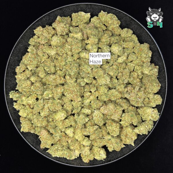 Northern Haze - 91J12 - Image 2