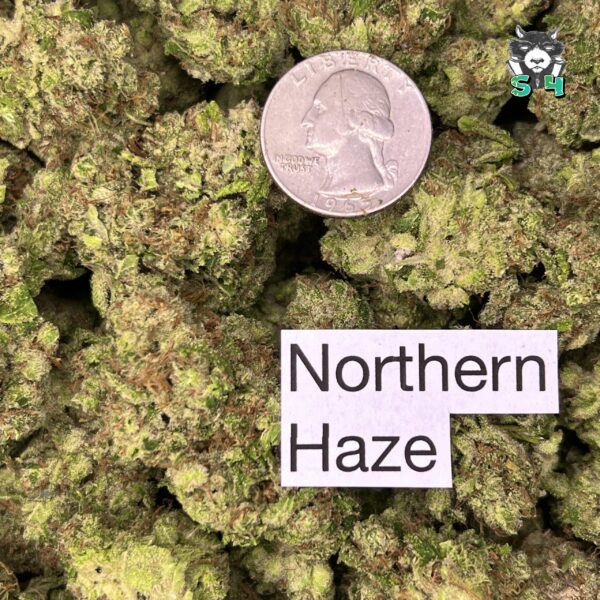 Northern Haze - 91J12 - Image 3