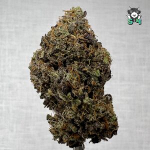 Cherry Limeade - 87F5