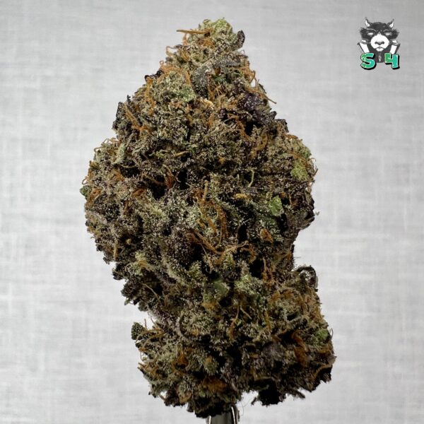 Cherry Limeade - 87F5