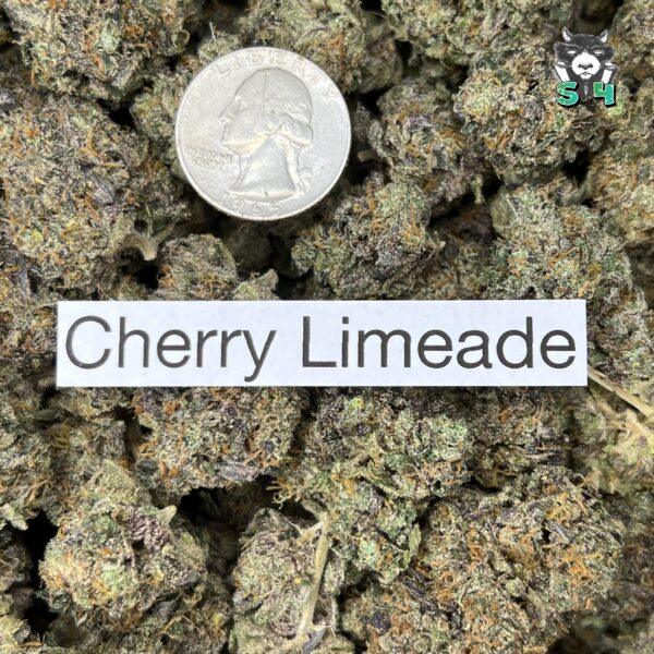 Cherry Limeade - 87F5 - Image 3