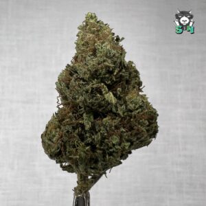 Krippy Chick - 67Q7