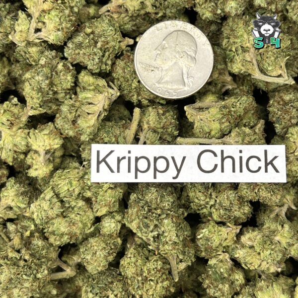 Krippy Chick - 67Q7 - Image 3