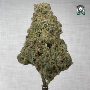 Mimosa - 82C2