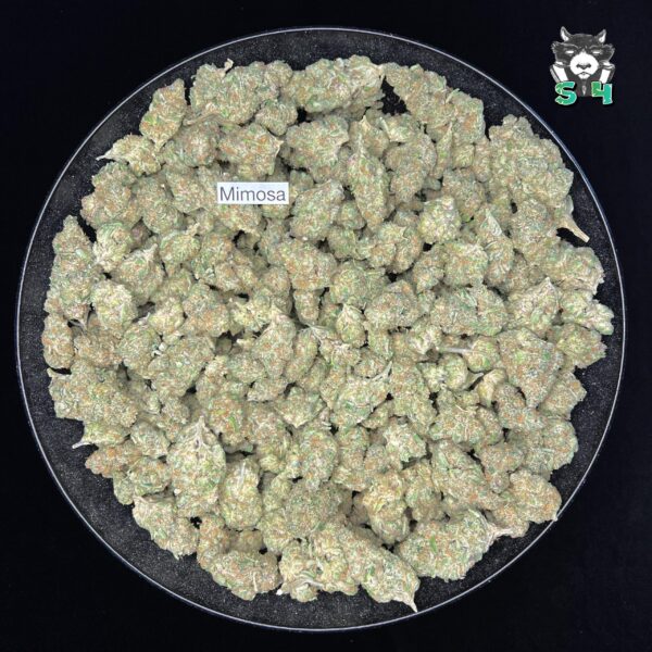 Mimosa - 82C2 - Image 2