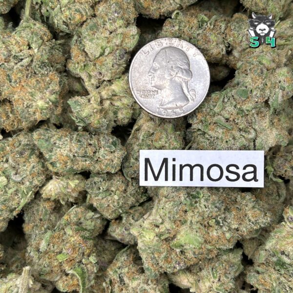 Mimosa - 82C2 - Image 3