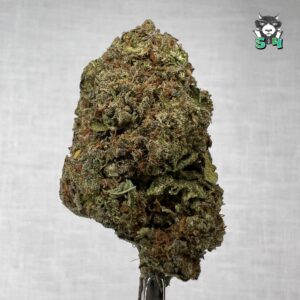 Mochi Cake - 73L4