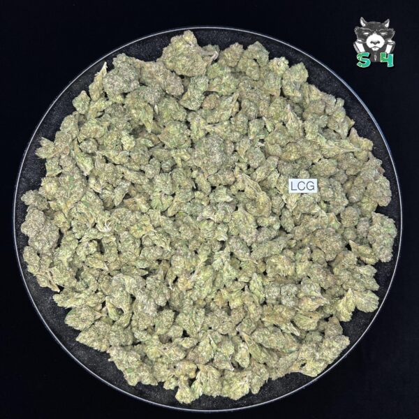 Lemon Cherry Gelato - 38L4 - Image 2