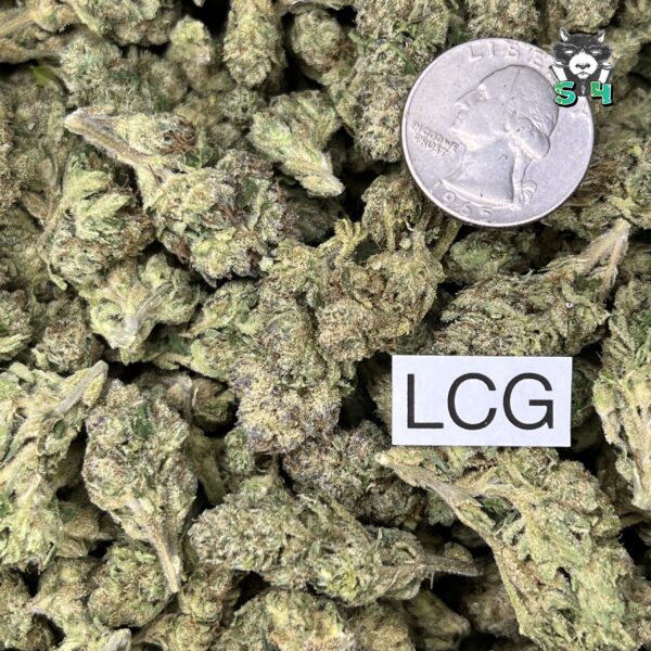Lemon Cherry Gelato - 38L4 - Image 3