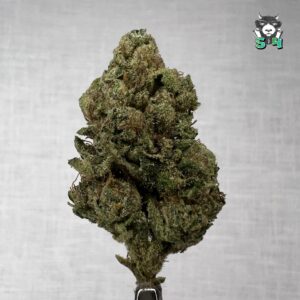 Runtz - 79L4