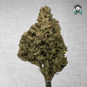 Sour Diesel - 50L4