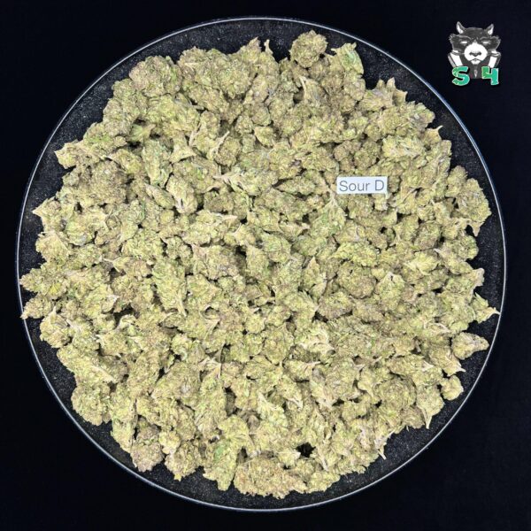 Sour Diesel - 50L4 - Image 2