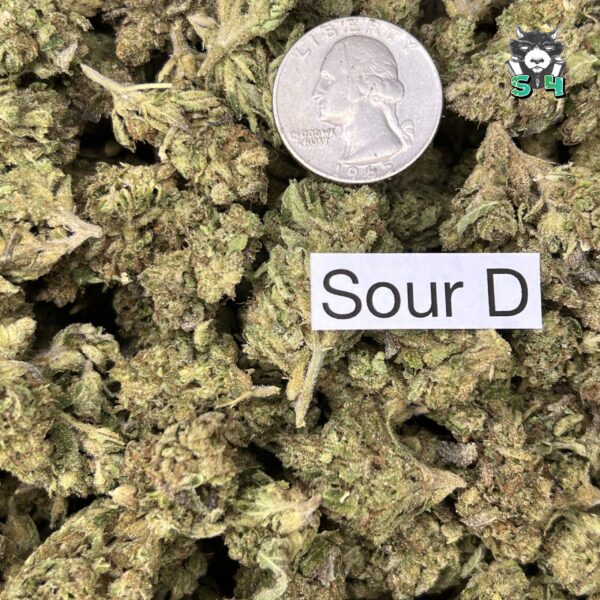 Sour Diesel - 50L4 - Image 3