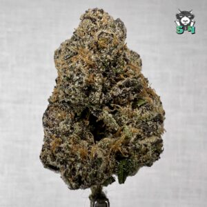 Blueberry Candy - 74B17