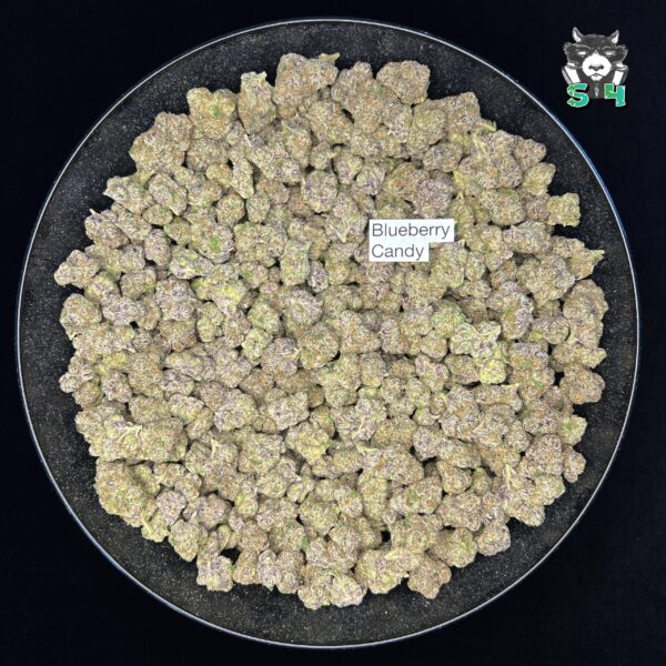 Blueberry Candy - 74B17 - Image 2