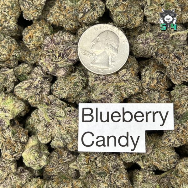 Blueberry Candy - 74B17 - Image 3