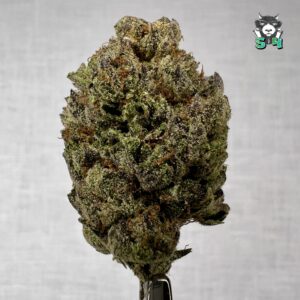Black Diamond - 90L4