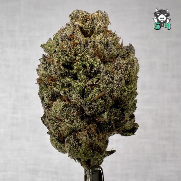 Black Diamond - 90L4