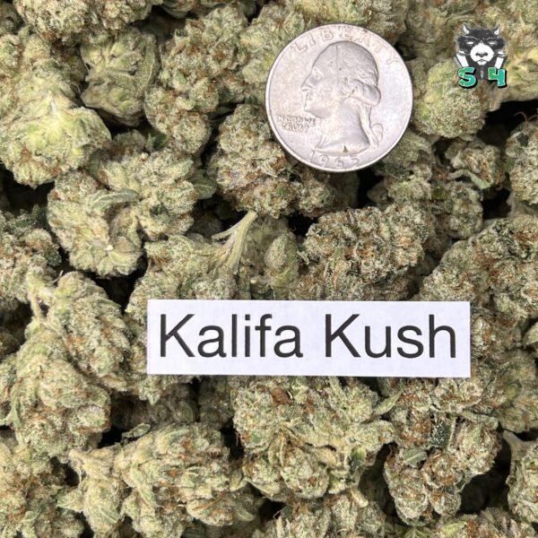 Kalifa Kush - 88B17 - Image 3