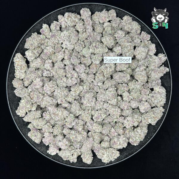Super Boof - 92D6 - Image 2