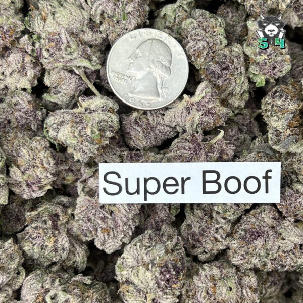 Super Boof - 92D6 - Image 3