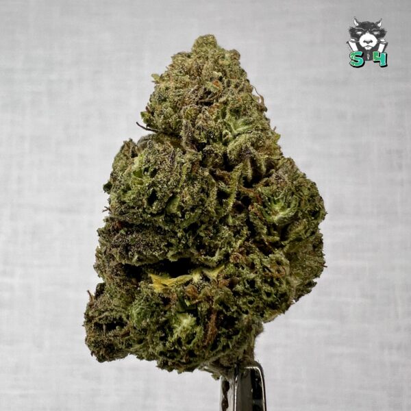 Lemon Cherry Breath - 78L4