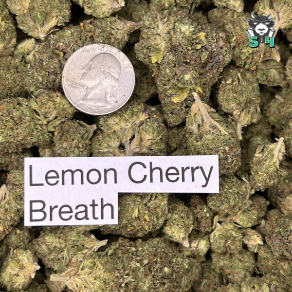Lemon Cherry Breath - 78L4 - Image 3