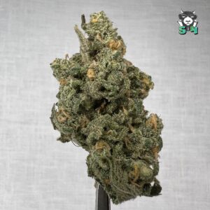 Blueberry Haze - 15A5