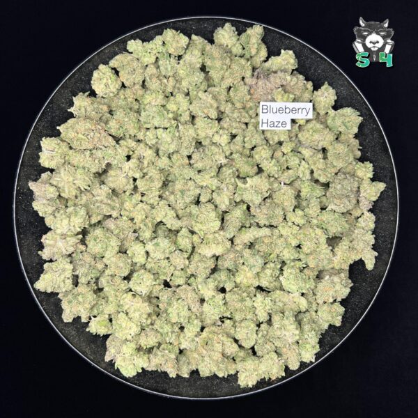 Blueberry Haze - 15A5 - Image 2