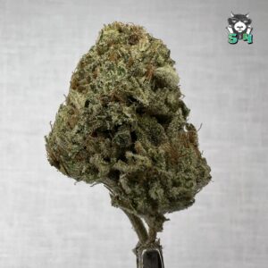 Sticky Glue - 27S10