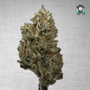 Oklahoma Coma - 13K54