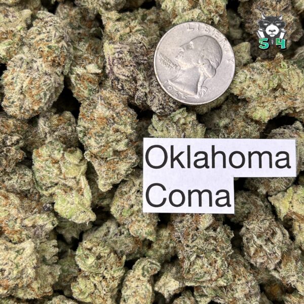 Oklahoma Coma - 13K54 - Image 3