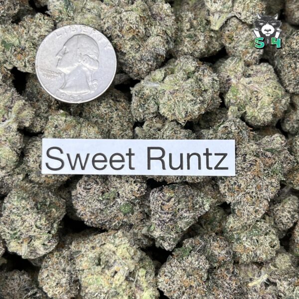 Sweet Runtz - 32K8 - Image 3
