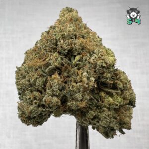 Butter OG - 30U2