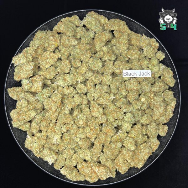 Blackjack - 81H55 - Image 2