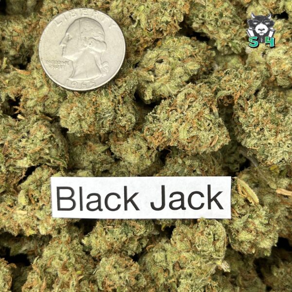 Blackjack - 81H55 - Image 3