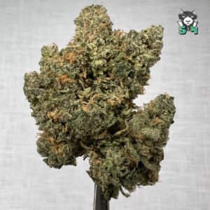 Blue Dream - 46W2