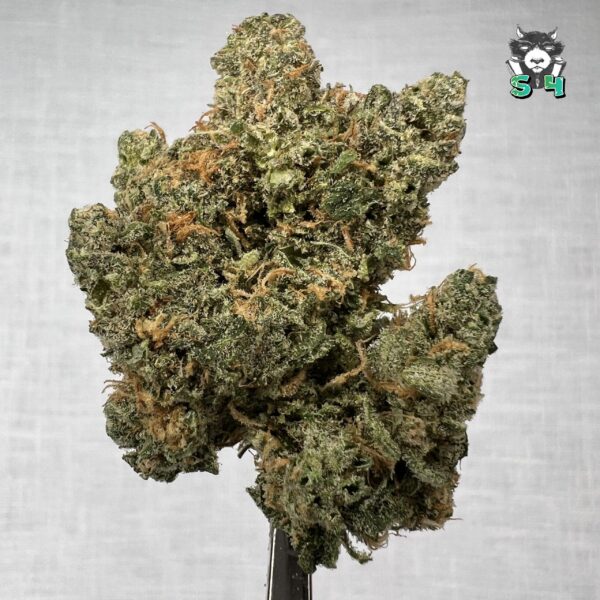 Blue Dream - 46W2