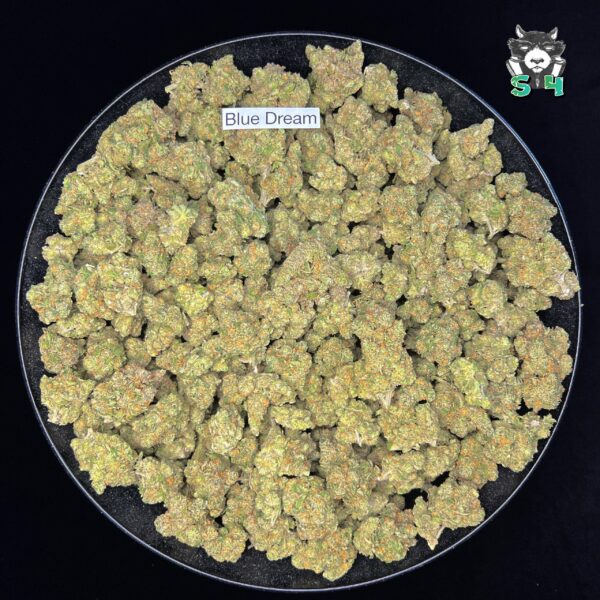 Blue Dream - 46W2 - Image 2