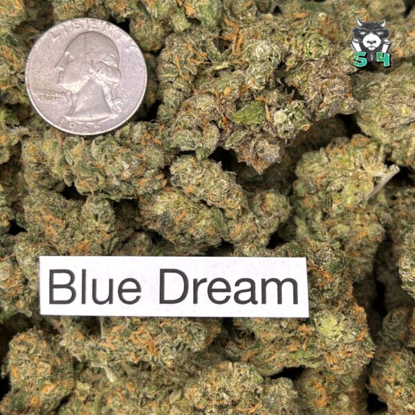 Blue Dream - 46W2 - Image 3