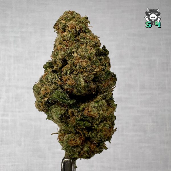 Grape Ape - 59P1