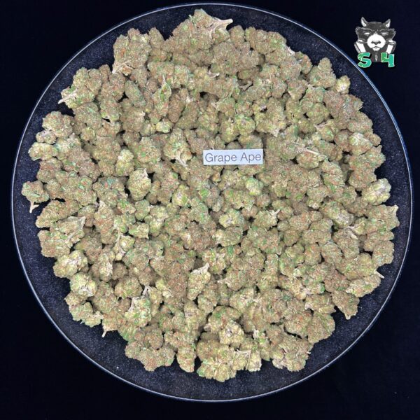 Grape Ape - 59P1 - Image 2